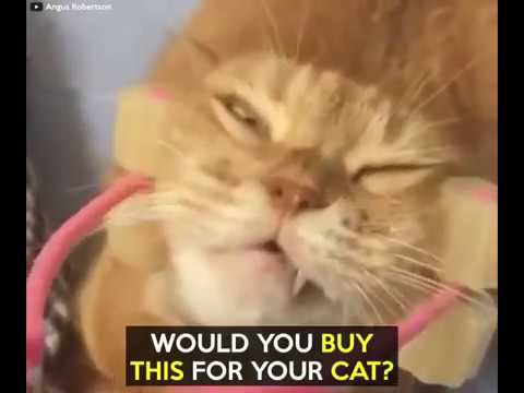 Cat Relaxer Cat Massage Roller Cat Relaxer Cat Massage Roller