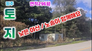 토지207번 원주 귀래면 구 도로 나홀로 도로부지100여평 추가사용  부지296평 전계획관리  매매금액1억   033-765-5998