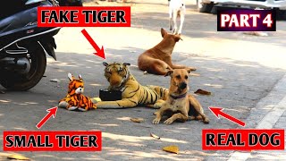 fake tiger prank on dog so funny 2021 | 😂😂 Fake tiger vs dog