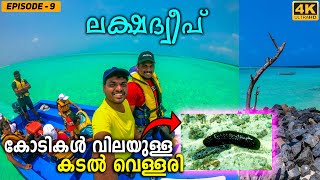 EP #9 - Snorkeling in Lakshadweep Kalpeni Island | 4K