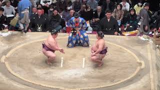 遠藤vs平戸海 準決勝【大相撲トーナメント2024】2024/2/11