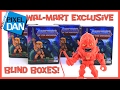 Masters of the Universe Wal-Mart Exclusive Loyal Subjects Action Vinyls Blind Box Review