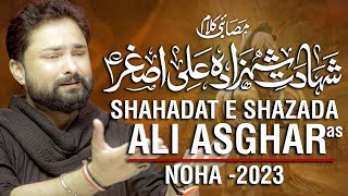 Nohay 2023 | Shahadat e Shahzada Ali Asghar  | Syed Raza Abbas Zaidi | Muharram 1445 / 2023