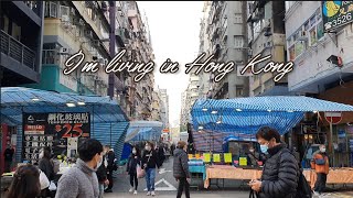 홍콩Vlog | 비온뒤맑음🌞이제 봄이 올까요?나날이 장보기 힘들어 지는 홍콩🇭🇰상황에 한국에서 받은 택배, 홍콩 사는 한국인의 홍콩 일상 #홍콩브이로그