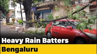 Bengaluru: Heavy Rain Uproots Electric Poles, Trees