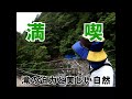 【付知峡】観音滝と不動滝　エメラルドグリーンの清流　付知峡不動公園を散策！ shorts