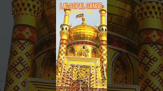 #lalgopalganj #chellum #tajiya #kerbala #belalfarooqui #shortvideo #shortsviral #trending #shorts