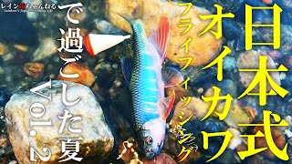 【オイカワ釣り】日本式オイカワフライフィッシングで過ごした夏Ｖｏｌ．２【レイン坊ちゃんねる～Rainbow’ｓ Japanese Fishing Life～】