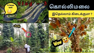 | கொல்லிமலை, வியக்க வைக்கும் இயற்கை | kolli hills tourist places| Aagayagangai water falls |  😀😍🔥