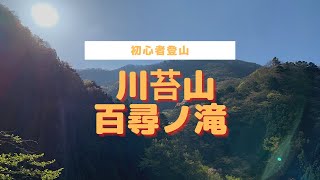 【初心者登山】奥多摩　百尋ノ滝～川苔山ハイキング