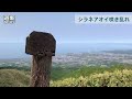 花の名山　伊達紋別岳 シラネアオイや高山植物が魅了