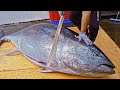 World's Sharpest Tuna Knife！Amazing Giant bluefin tuna cutting Master / 驚人的！巨大黑鮪魚切割技巧, 黑鮪魚大腹-Sashimi