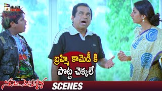 Brahmanandam Hilarious Comedy | Namo Venkatesa Telugu Full Movie | Venkatesh | Brahmanandam | Ali