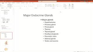 Endocrine Part 1