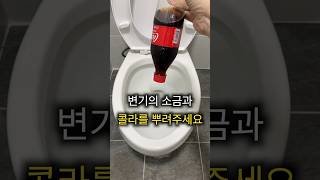 변기에 이것만 넣으면 찌든 때가 싹 사라집니다!