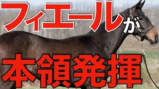 種牡馬フィエールマンがついに本領発揮！大本命馬が貫禄のデビュー勝ち。