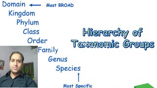 Hierarchy of taxonomy (वर्गिकी के पदानुक्रम