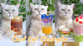 【Chef Cat ChangAn】Surprise in the End ! Wonderful Compilation of  A Month #CatCookingAsmr
