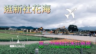 阿翔EP98 新社花海預計2020年11月14日～12月6日開放，重頭戲帶雙寶去百菇莊體驗採香菇趣