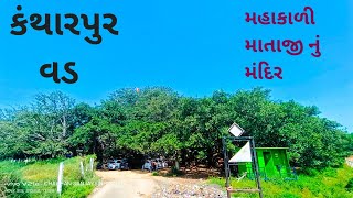 🌳kanthapura vad|| કંથારપુર વડ||૫૦૦ વર્ષ જૂનો વડ અને મહાકાળી માતાજી નું મંદિર