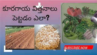 కూరగాయ విత్తనాలు పెట్టడం ఎలా? | వెల్లుల్లి,మెంతులు అలకడం ఎలా?