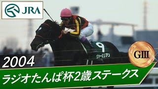 2004年 ラジオたんぱ杯2歳ステークス（GⅢ） | ヴァーミリアン | JRA公式