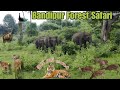 Bandipur Forest Safari | Ooty ghat road | Tiger Reserve | Salman food & travel |