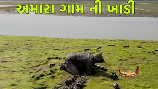 અમારા ગામ ની ખાડી 🦀 || કરેસલા || creb ||