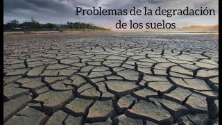 Problemas y soluciones de la degradación de los suelos- Save The Soils