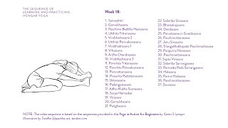 Week 18: Learning and Practicing Iyengar Yoga for Beginners