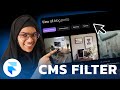 Advanced Framer Blog Setup: Filter CMS Explained