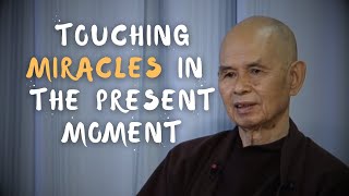 Touching Miracles in the Pure Land of the Present Moment | Thich Nhat Hanh (EN subtitles)