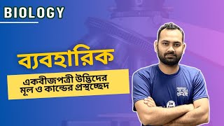 একবীজপত্রী উদ্ভিদের মূল ও কান্ডের প্রস্থচ্ছেদ । জীববিজ্ঞান ব্যবহারিক । Practical । HSC । Sarafat Sir