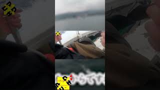 アズーロ　ルンゴライダー　#明石ジギング #青物 #釣り #釣り初心者 #fishingvideo #short #shorts