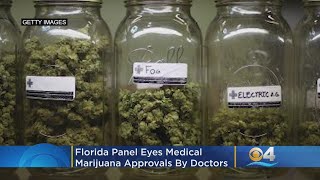 Florida Panel Eyes Medical Marijuana Approvals By Doctors