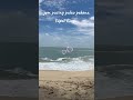 jom pusing pulau pekena tupai king