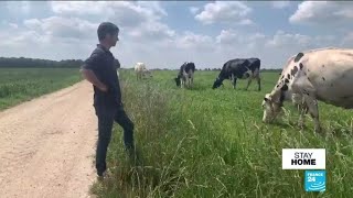 Covid-19: France's small-scale farmers see 'glimmer of hope'