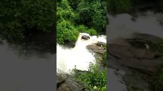 Olichi waterfall.. thrissur district varavoor, kottupuram..