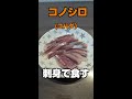 釣った魚を調理【コノシロ】vol.4