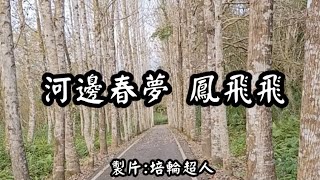 花蓮U_日常美景(河邊春夢_鳳飛飛)_20240124