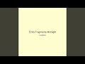 Echo Fragments Midnight