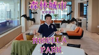 【新山森林城市空中豪宅】Nigella Park | Forest City| 最美丽的鬼城| 金融特区|20分钟+到Tuas Second Link Check Point