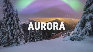 Introducing Aurora Winter Tyres | Albourgh