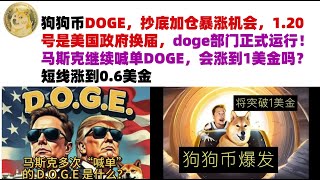 狗狗币DOGE，抄底加仓暴涨机会，1.20号是美国政府换届，doge部门正式运行！马斯克继续喊单DOGE，会涨到1美金吗？短线涨到0.6美金#DOGE币#马斯克狗狗币#DOGE行情分析