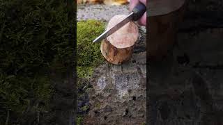 Starting a Fire with Wet Wood. Use fatwood.