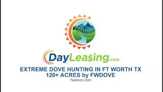 EXTREME DOVE HUNTING in Ft Worth TX! | DayLeasing.com