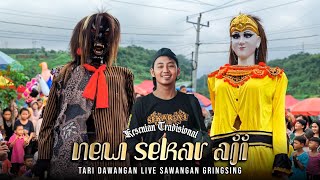 MASTER BUDI CENTONG NGAMUK!! DAWANGAN SEKAR AJI LIVE GRINGSING