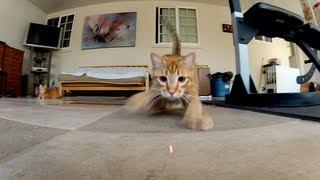 GoPro: Laser Cats - TV Commercial