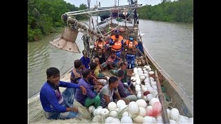 বঙ্গোপসাগর থেকে ১৩ জেলে উদ্ধার।।fishermen rescued from Bay of Bengal।।কোস্টগার্ড বাংলাদেশ।।