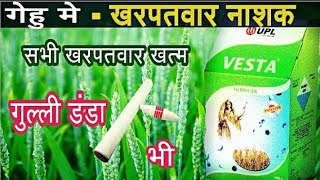 Vesta herbicide in uses wheat crop | Upl ka vesta herbicide | vesta herbicide  |